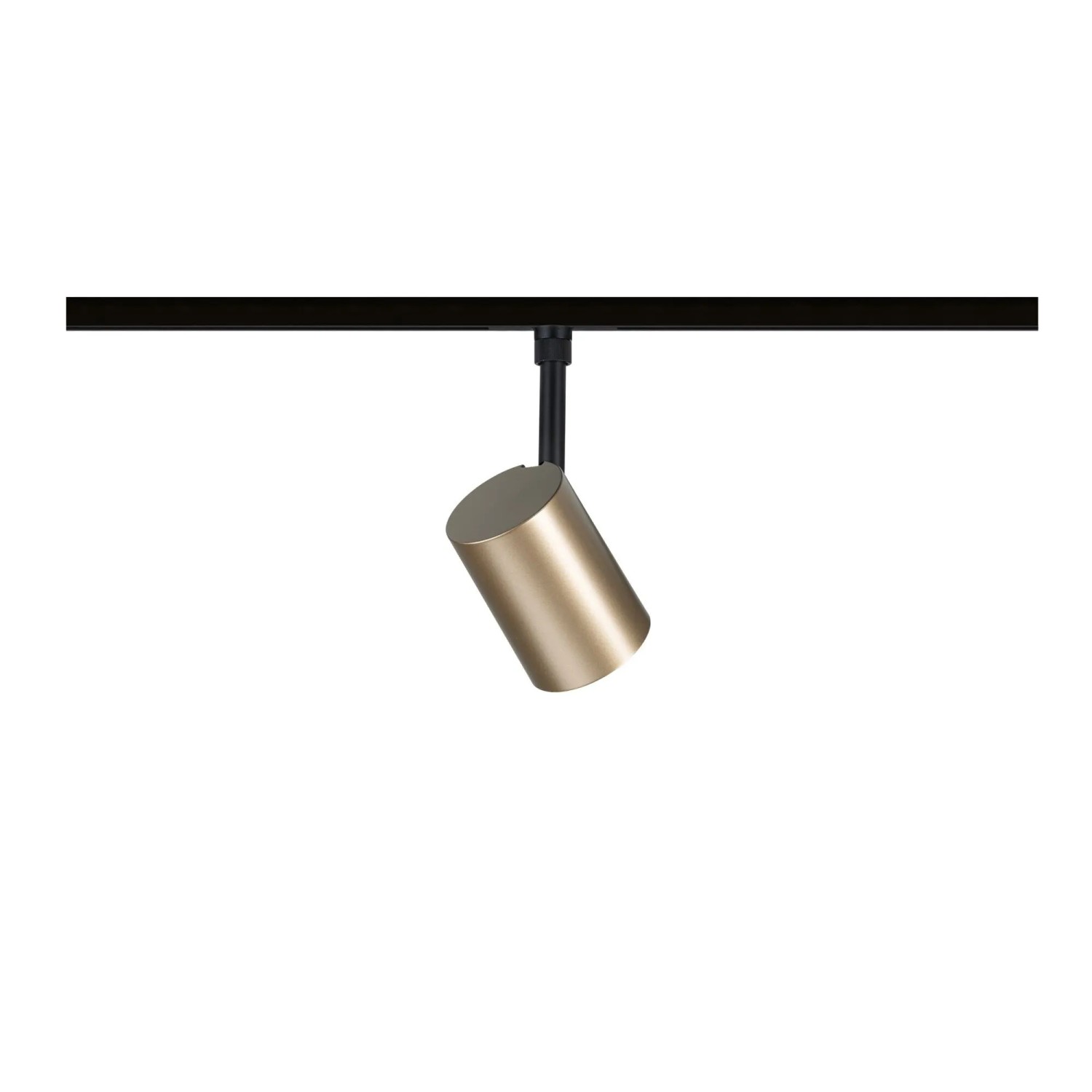 Paulmann URail Schienenspot Luxe, gold matt zylindrisch, an schwarzer Schiene. Modernes LED-Schienensystem.