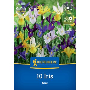 Kiepenkerl Holländische Schwertlilien Mischung, 10 Blumenzwiebeln in verschiedenen Farben.