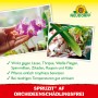 Neudorff Spruzit AF Orchideen Schädlingsfrei: Orchidee wird von Hand gehalten, befallene Pflanze im Hintergrund.
