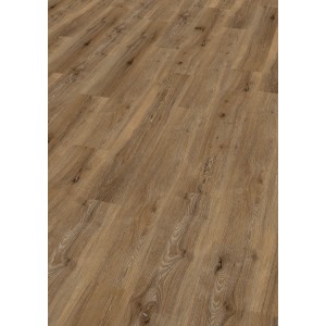 Check One Click-Vinylboden Büren Eiche, Detailansicht der Holzstruktur.