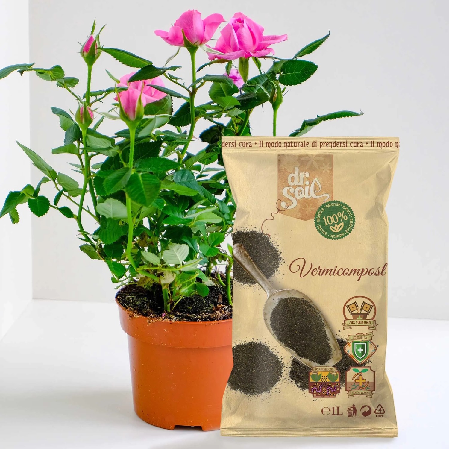 Dr.Soil Biohumus 1L Beutel neben Topfrose für Hydrokultur & Bodenverbesserung.