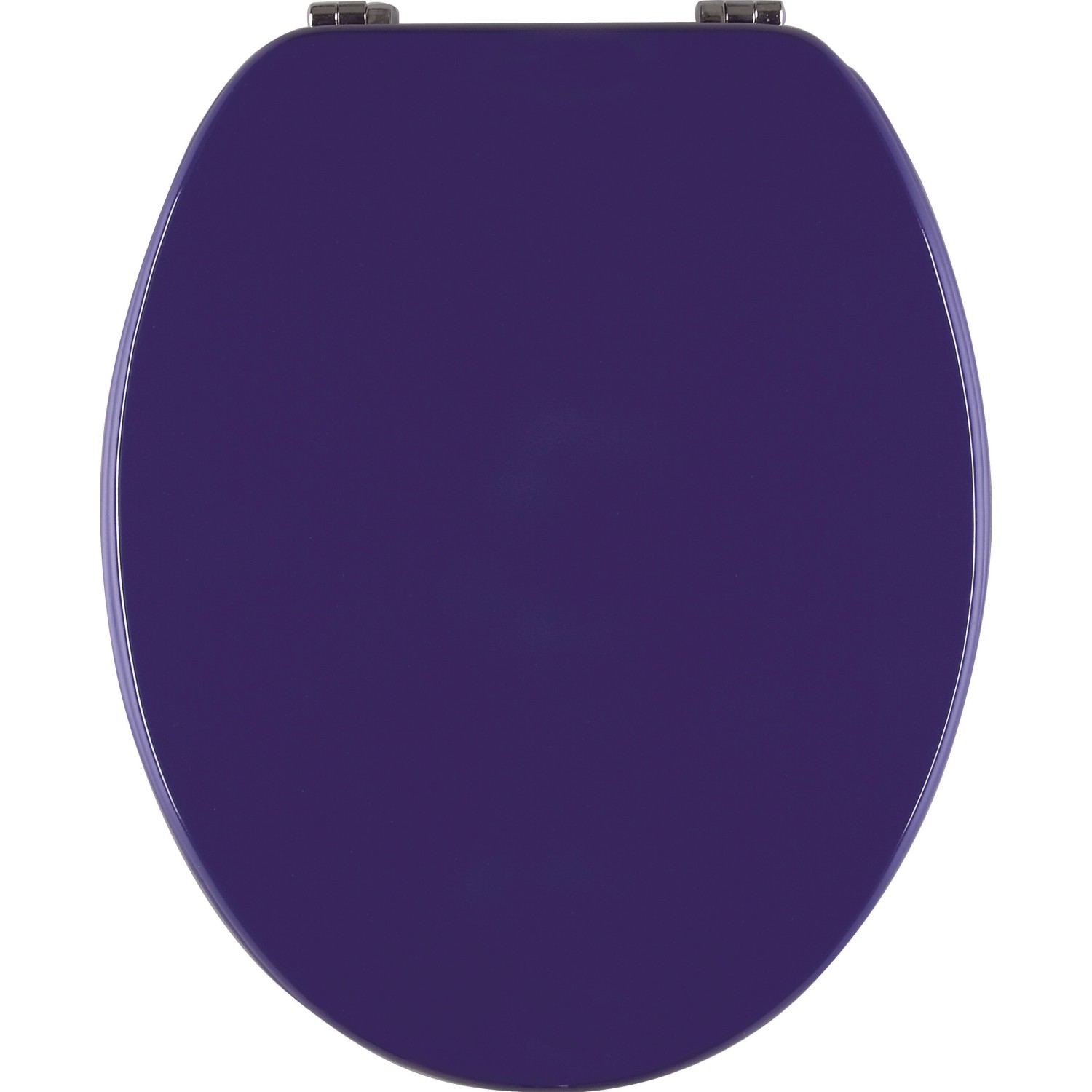 Sanitop-Wingenroth WC-Sitz antibakteriell Venezia Blau