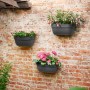 Drei anthrazitfarbene Elho Wandblumenampeln Vibia Campana mit bunten Blumen an einer Backsteinwand.