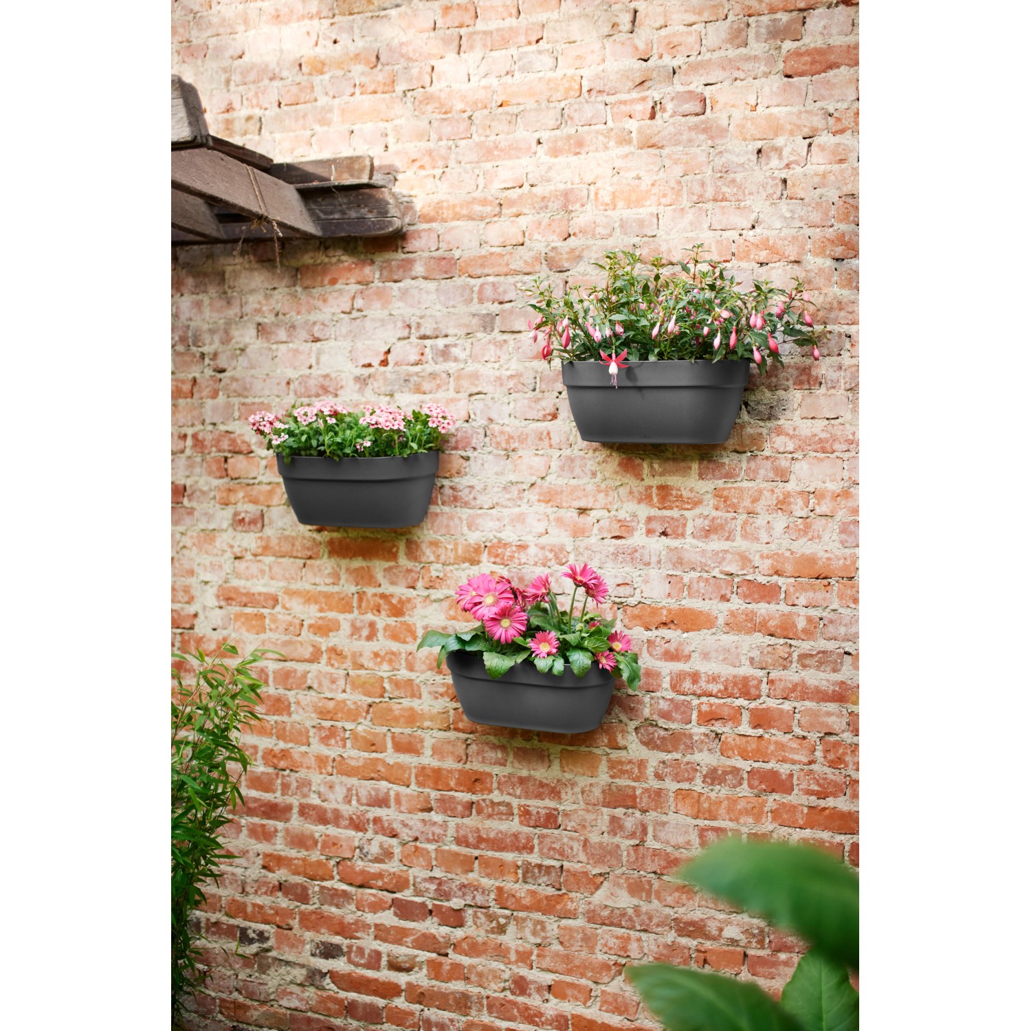 Drei anthrazitfarbene Elho Wandblumenampeln Vibia Campana mit bunten Blumen an einer Backsteinwand.
