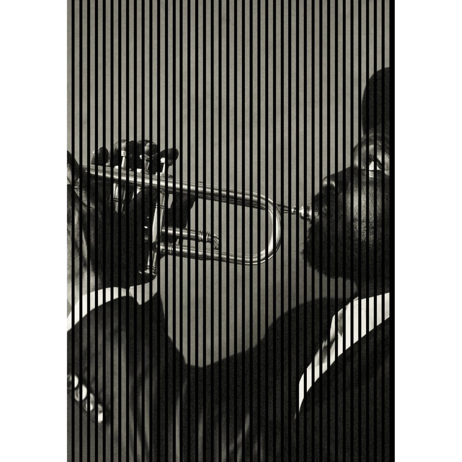 FN Acustico Akustikplatte Jazz 1 PET u. MDF Foliert 1.693 x 19 x 2.400 mm