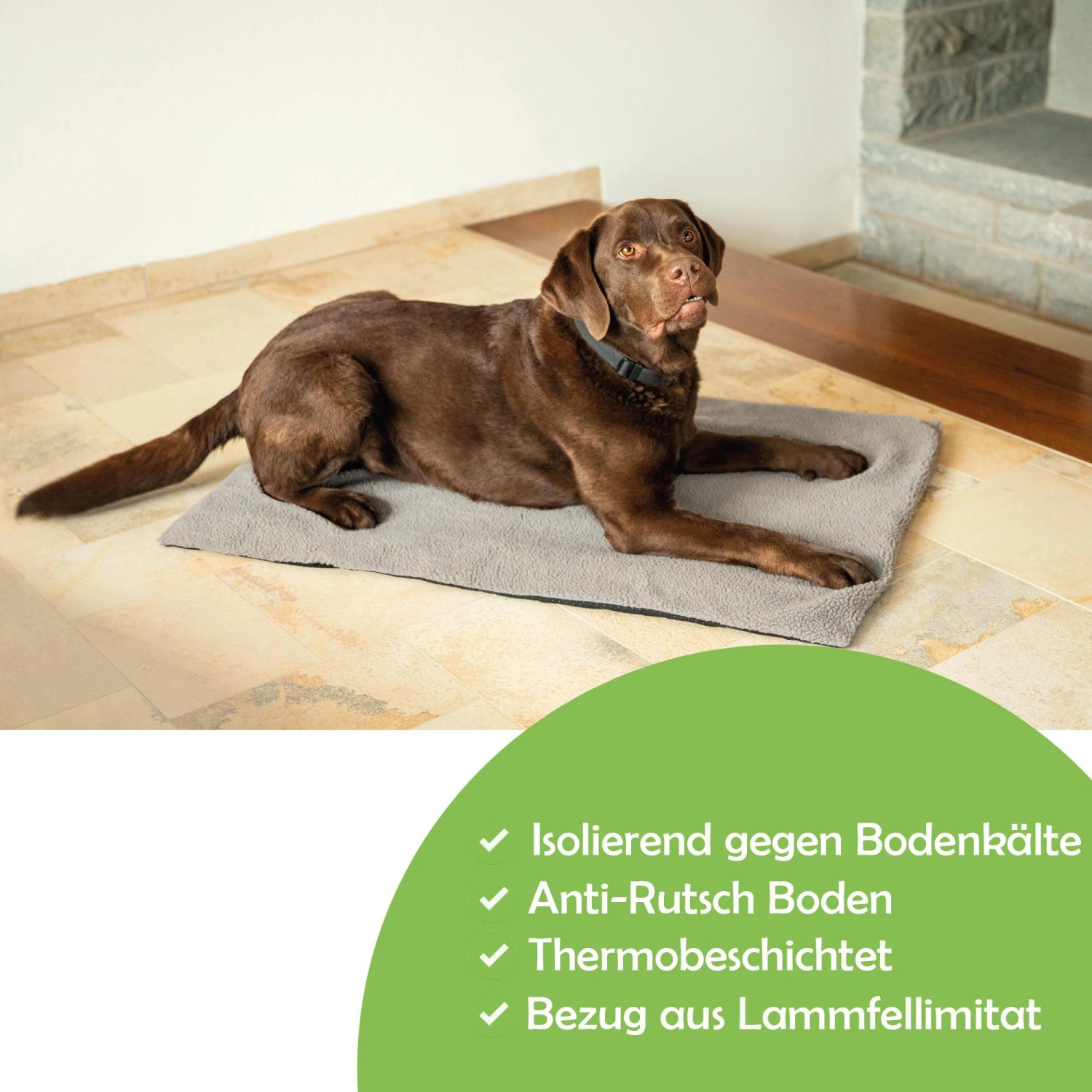 Bestlivings Thermotierdecke, grau, 70x100 cm. Hund liegt entspannt auf der wärmeisolierenden Decke.