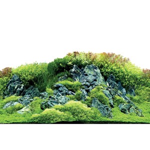 Aquarium Fotorückwand Scaping Hill/Forest: Detailreiche Felsen und grüne Pflanzen für Süßwasseraquarien.