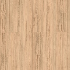Classen Laminat Grande XXL Eiche Corfe Beige, wasserfest, 8mm stark. Holzoptik für Wohn- und Gewerberäume.