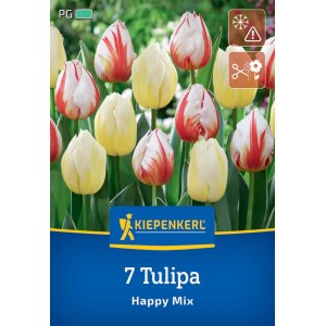 Kiepenkerl Tulpen Mix Happy, 7 Blumenzwiebeln mit rot-weißen und gelben Blüten.