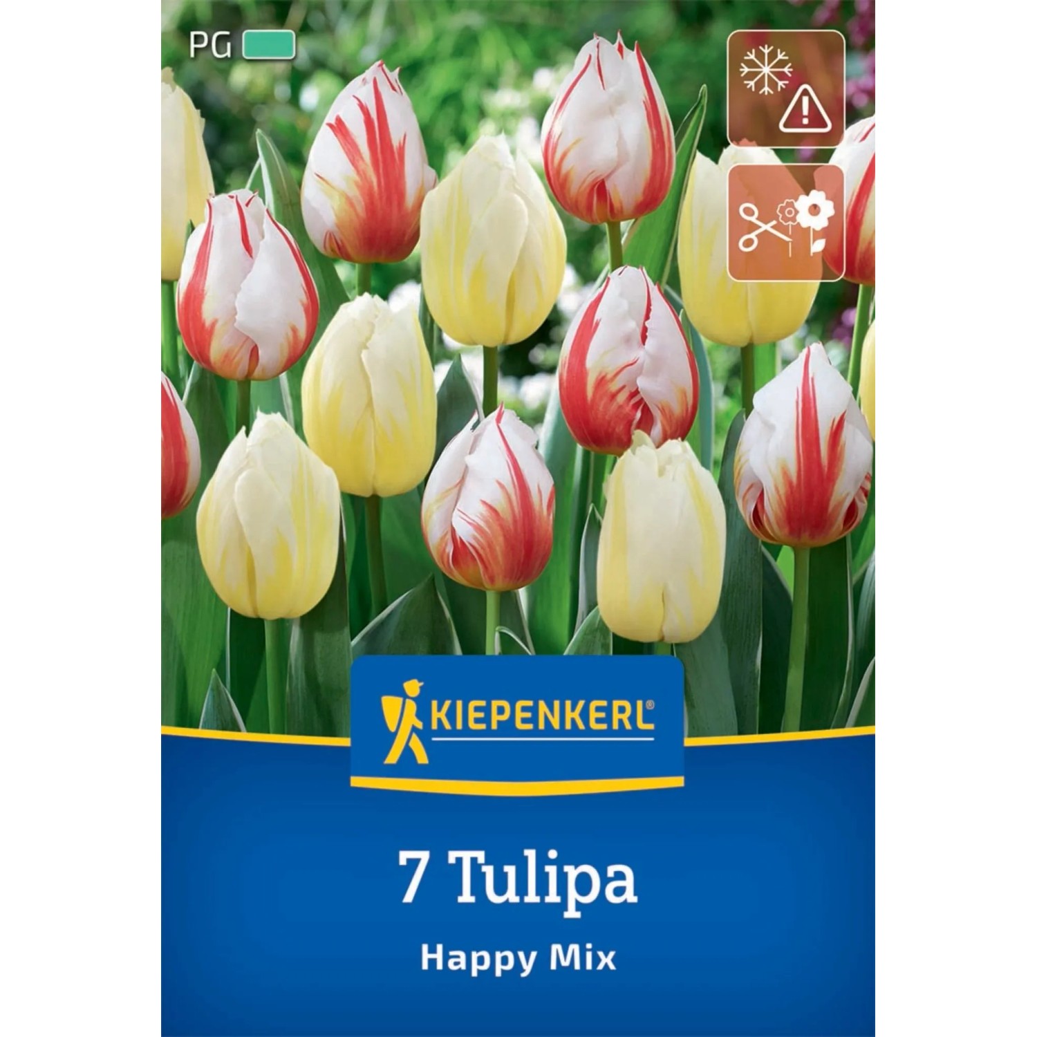 Kiepenkerl Blumenzwiebel Tulpen Mix Happy 7 Stück