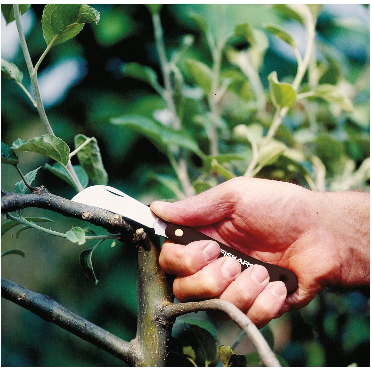 Fiskars Gartenhippe K62 im Einsatz: Hand schneidet Ast mit Gärtnermesser.
