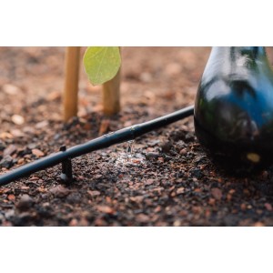 Geka Tropfrohr (6mm) im Einsatz zur Bewässerung einer Aubergine im Garten.