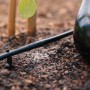 Geka Tropfrohr (6mm) im Einsatz zur Bewässerung einer Aubergine im Garten.