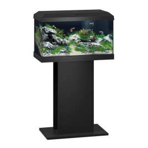 Schwarzes Juwel Aquarium Primo 60 LED 2.0 Komplettset mit Fischen und Pflanzen.