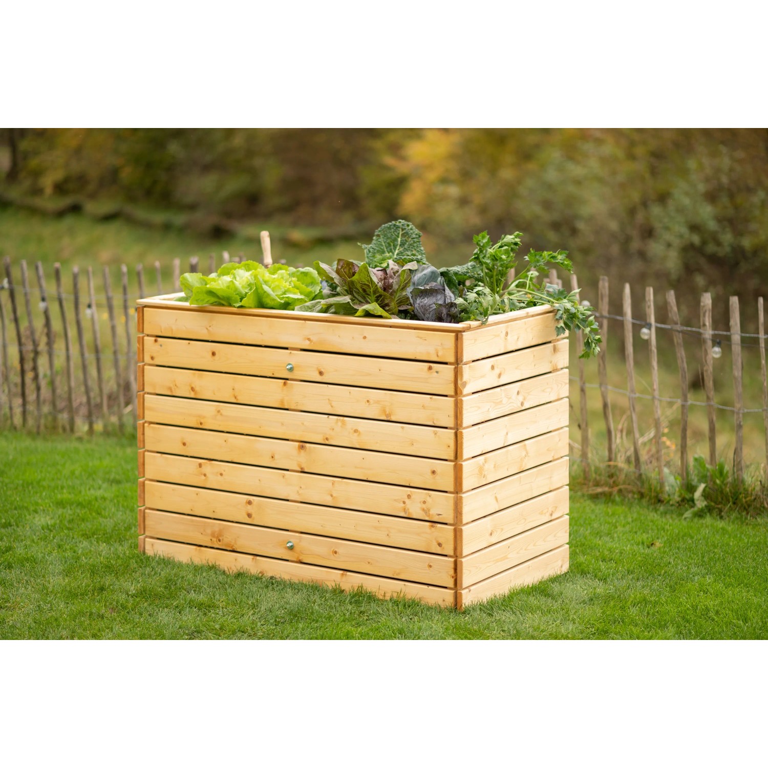 Westmann Hochbeet aus Fichte (Größe L) mit Salat und Gemüse bepflanzt im Garten.