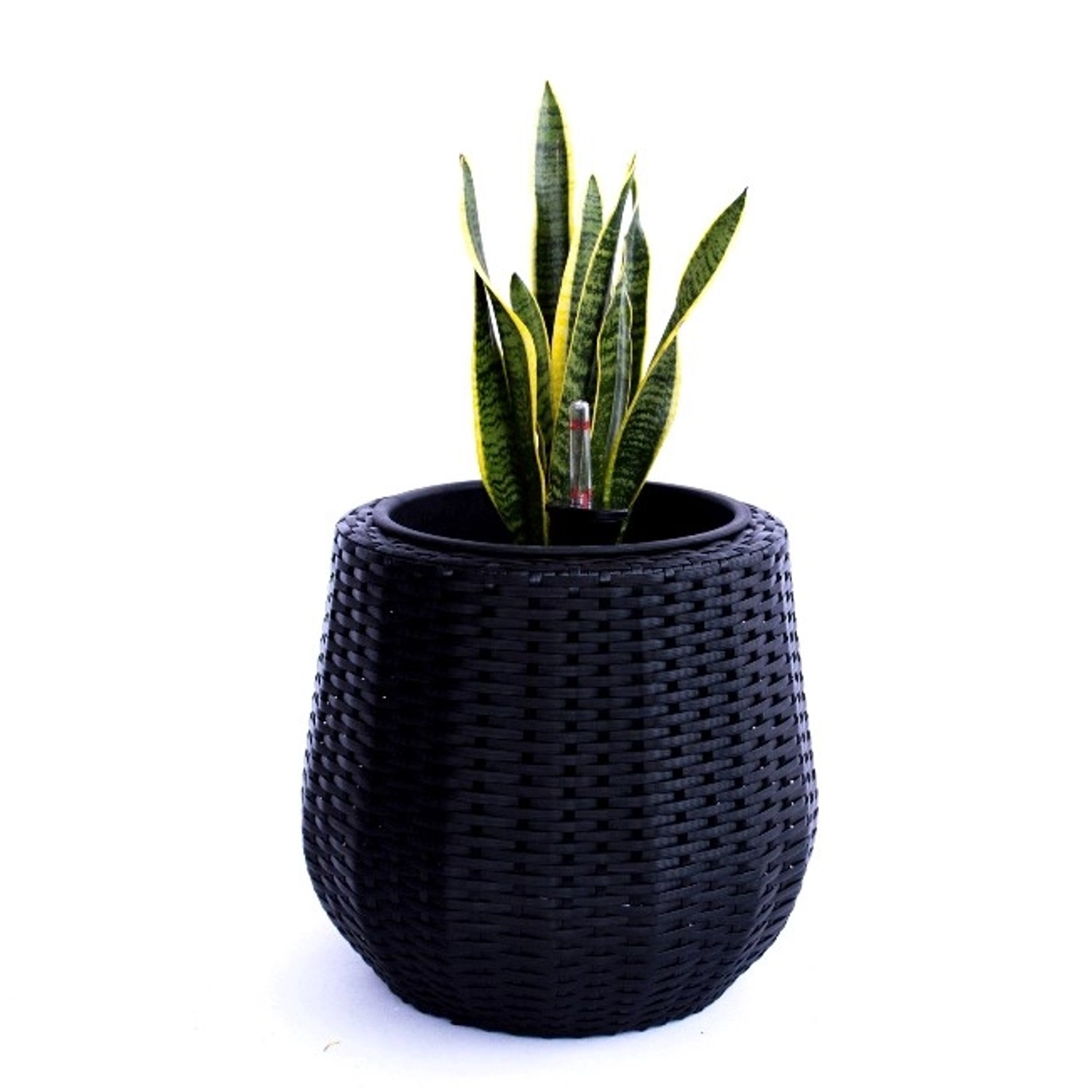 Elegant Einrichten Pflanzkübel Polyrattan Rund-Konisch D35xH32cm Schwarz günstig online kaufen