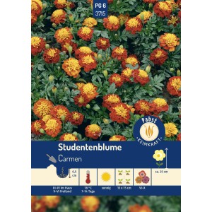 Pabst Keimkraft Studentenblume Carmen Saatgut mit rot-gelben Blüten.