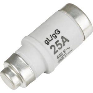 Weiße Schmelzsicherung D02/E18, 25A, träge, mit silberfarbenen Kontakten. Schutz vor Überstrom.