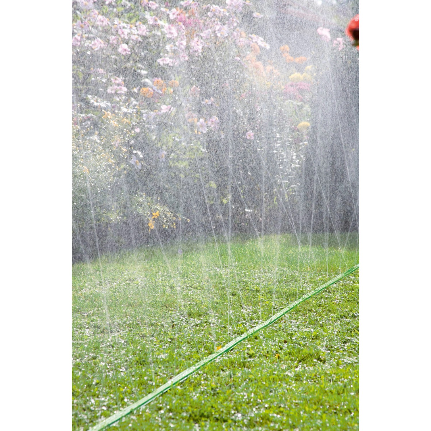 Bewässerung mit dem grünen Gardena Schlauch-Regner 15m im Garten.