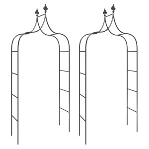 Zwei schwarze Gartenbögen aus Stahl, ideal als Rankhilfe für Pflanzen.