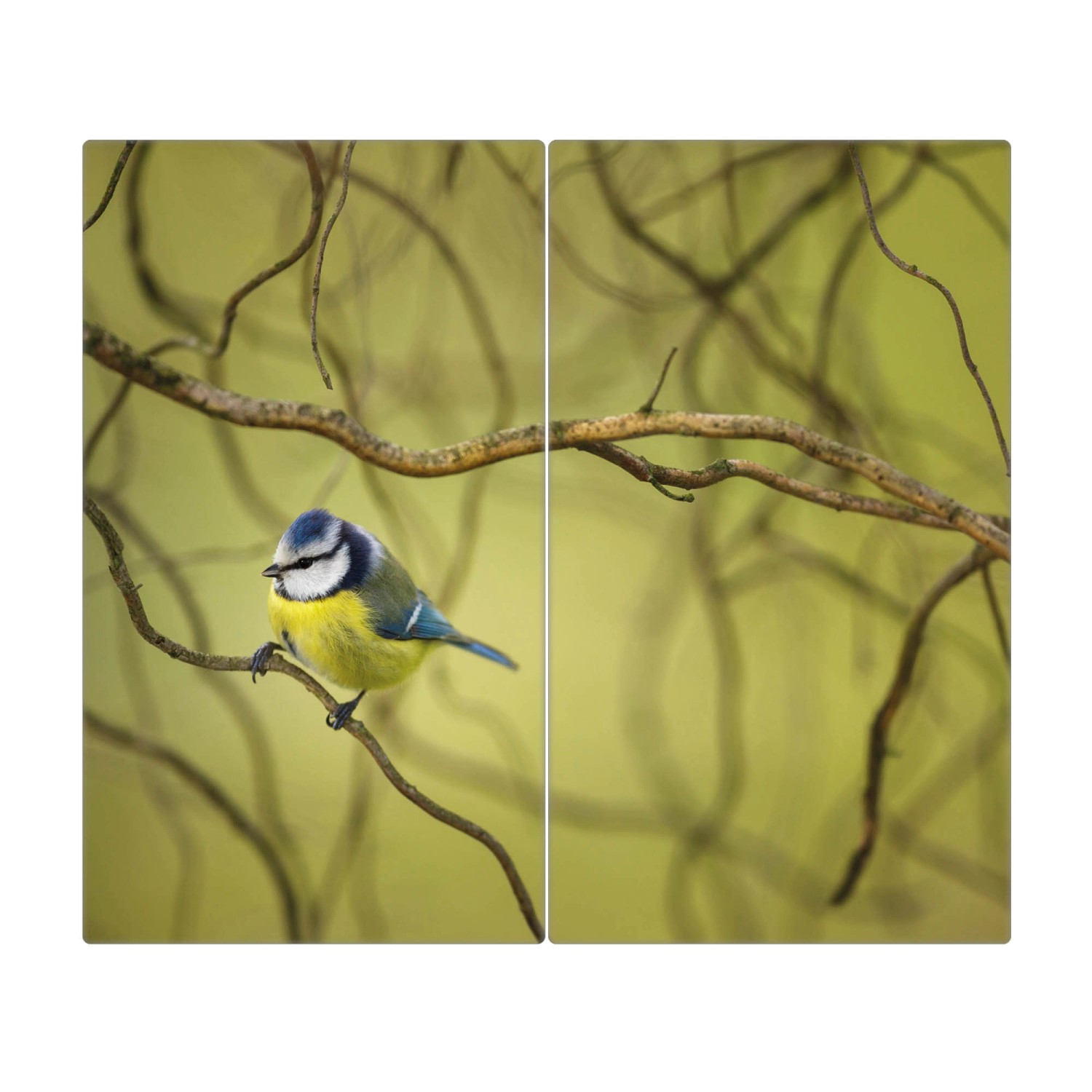 Banjado Herdabdeckplatte Glas 2 Teilig Je 30x52CM Schneidebrett Herdabdeckung Mit Motiv Blaumeise Im Baum (Maße: 52cm | 0.8cm | 60cm)