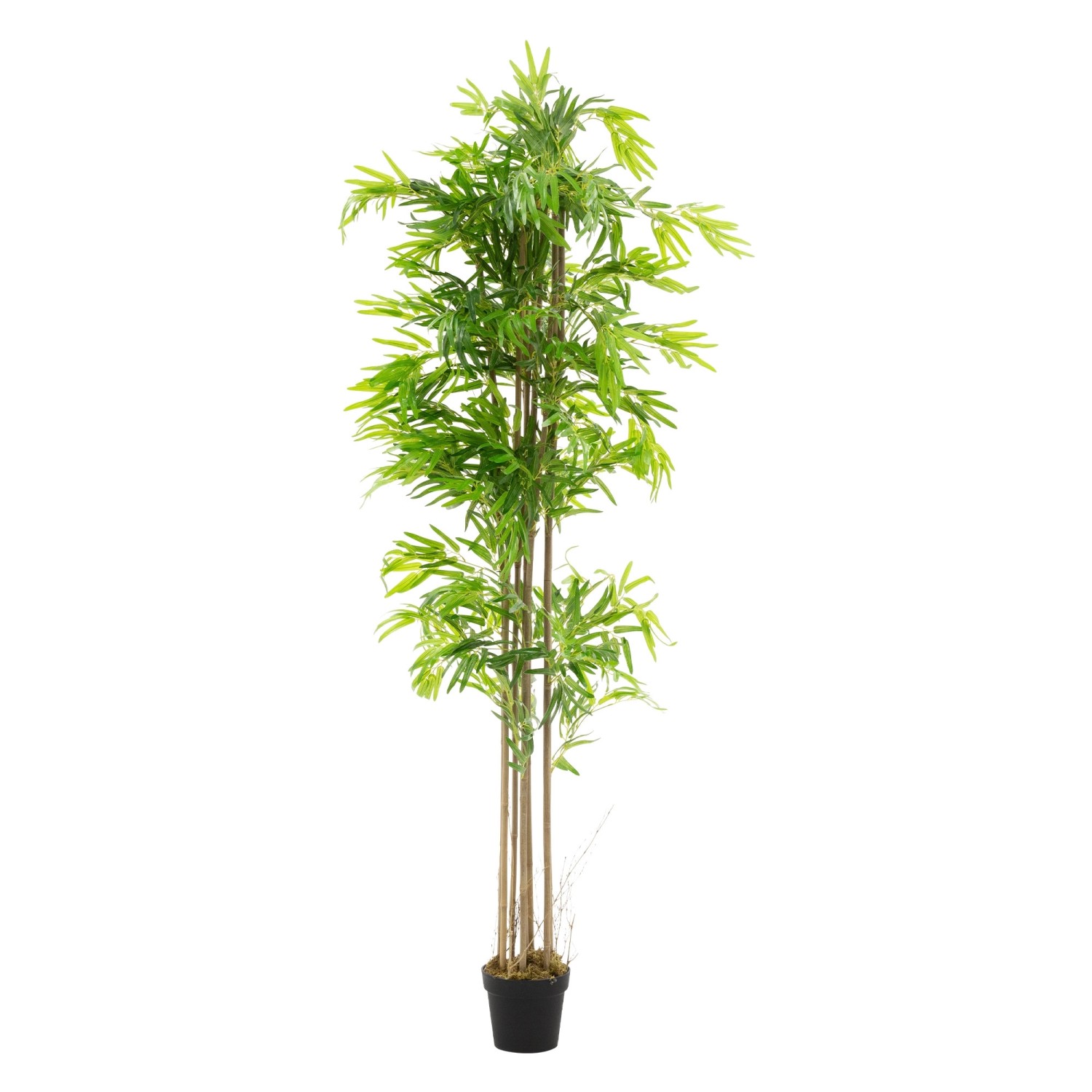 ML-Design Künstlicher Bambus 210cm Groß Kunstpflanze mit Echtholzstamm günstig online kaufen