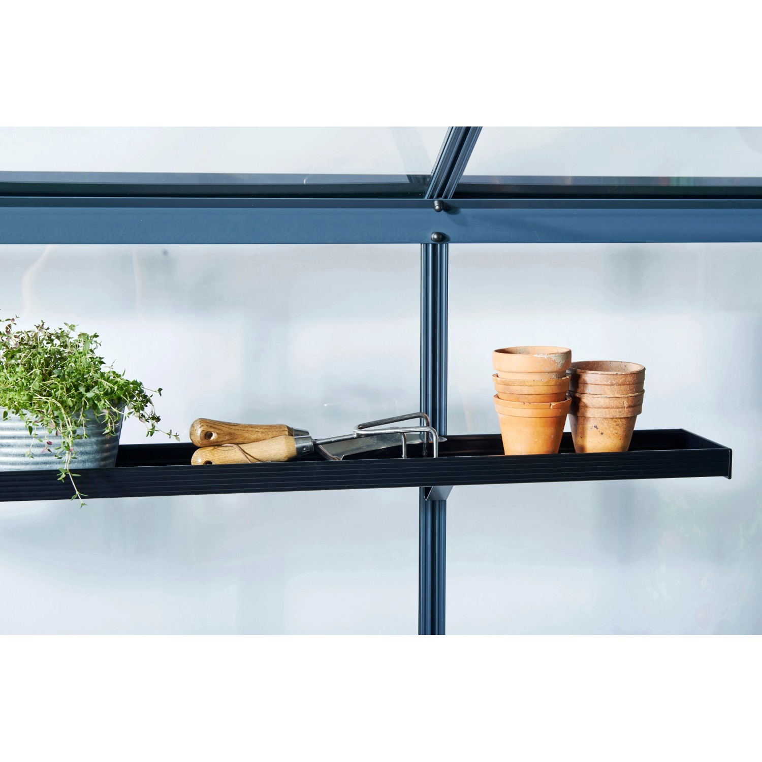 Schwarzes Juliana Aluregal mit 3 Sektionen im Gewächshaus, bepflanzt mit Kräutern und Töpfen.