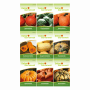 Kürbis Samen-Set mit 9 Sorten von Deine Gartenwelt: Hokkaido, Butternut, Spaghetti-Kürbis und weitere.