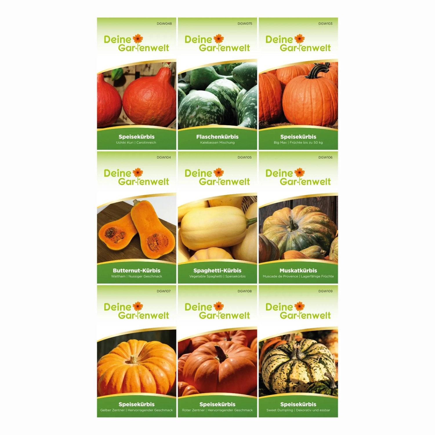Kürbis Samen-Set mit 9 Sorten von Deine Gartenwelt: Hokkaido, Butternut, Spaghetti-Kürbis und weitere.
