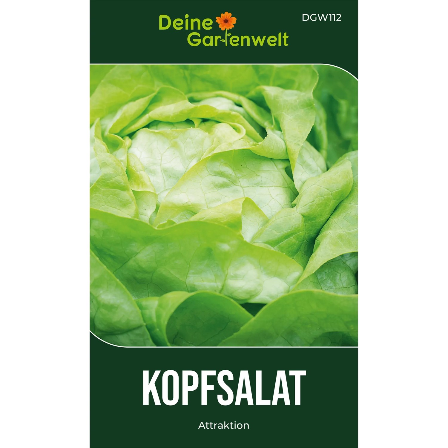 Deine Gartenwelt Kopfsalat Attractie/Attraktion Samen