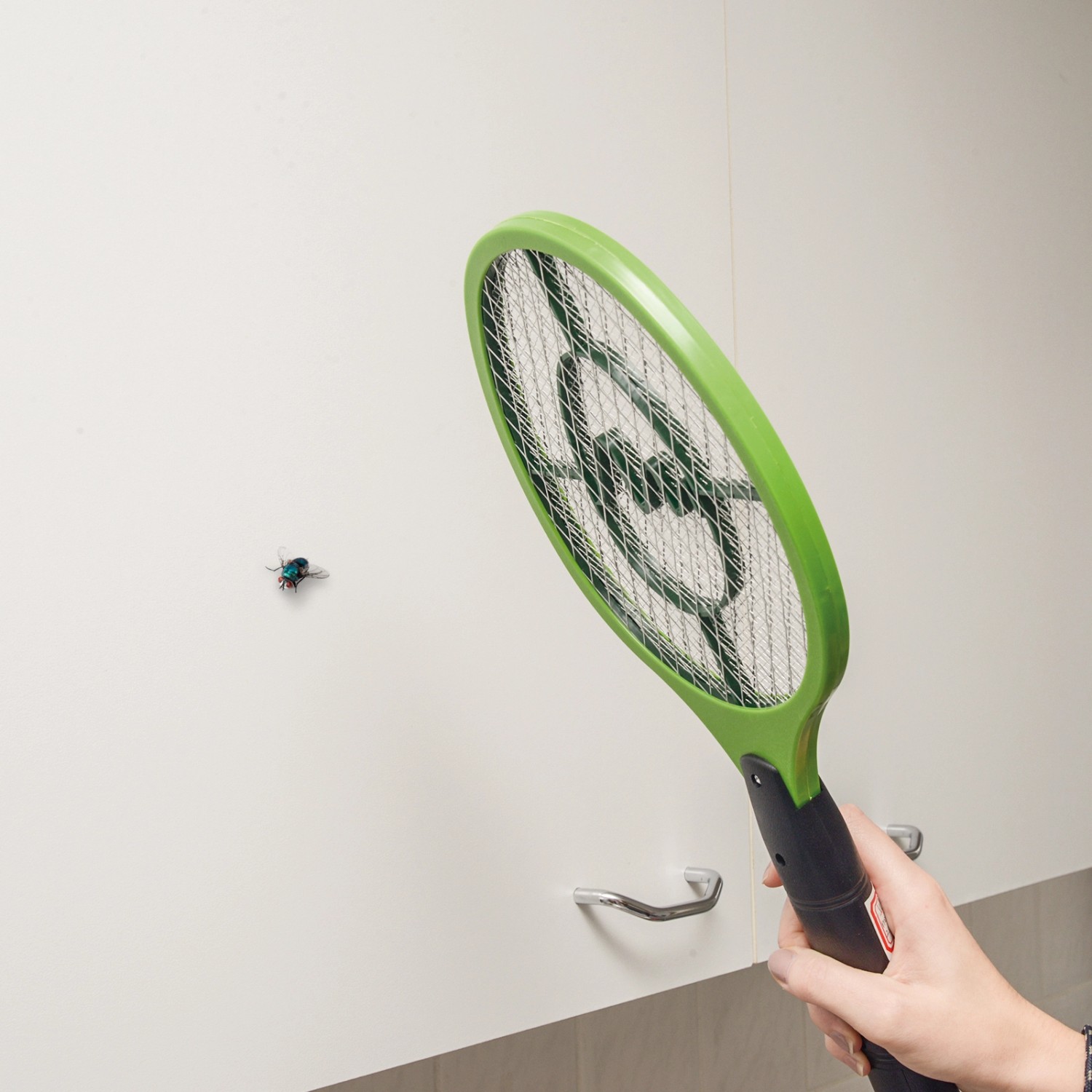 Gardigo Elektrische Fliegenklatsche Bzzz Grün kaufen bei OBI