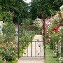 Dunkelgrüner Eisen Rosenbogen mit dekorativer Tür als Rankhilfe für Rosen im blühenden Garten.