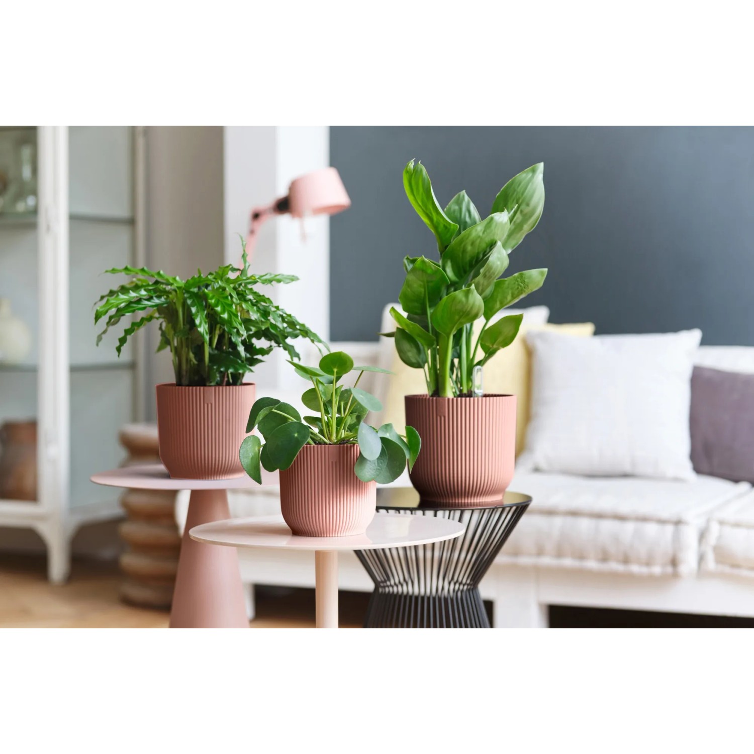 Elho Blumentöpfe Vibes Fold, Ø 16cm, zartrosa, mit Pflanzen auf Tischen im Wohnraum.