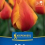Kiepenkerl Blumenzwiebel Einfache frühe Tulpe Flair 7 Stück_2