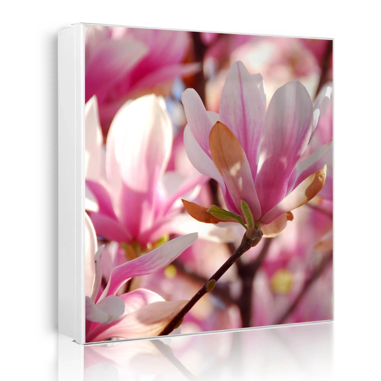 Banjado Großer Schlüsselkasten Metall 30x30cm Weiß Scharnier Rechts 50 Haken Beschreibbar Magnetisch Motiv Magnolia