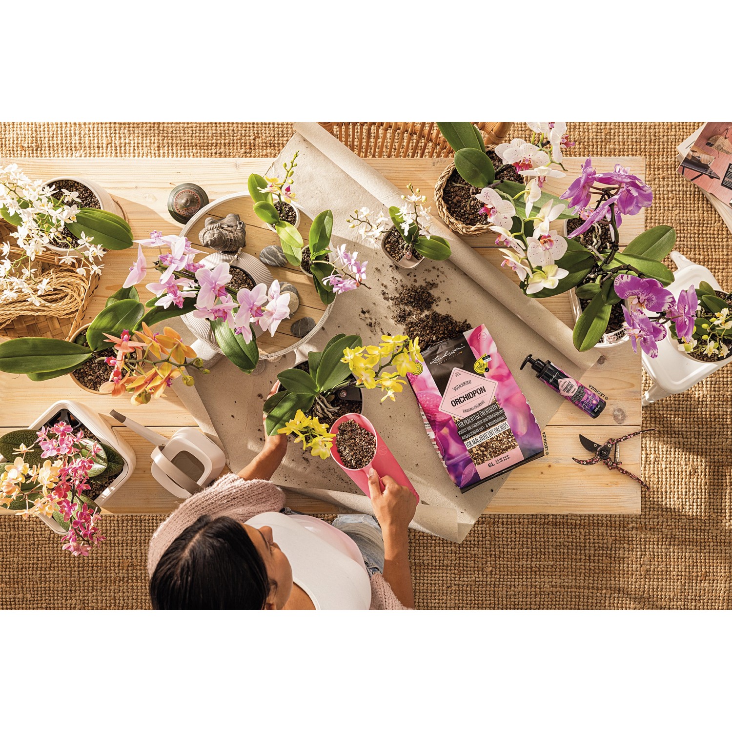 Lechuza Orchidpon Pflanzsubstrat (6L) für Orchideen beim Umtopfen. Spezialerde mit Dünger für prächtige Blüten.