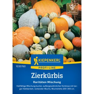 Kiepenkerl Zierkürbis Raritäten Mischung mit bunten Kürbissen in verschiedenen Formen und Farben.