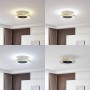 Lindby LED Deckenventilator mit Lampe Teleo 10022132 Dimmbar Leselampe Modern in Gold Messing 1-flammig Wohnzimmerleuchte_4
