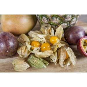 Frische Andenbeeren (Physalis Peruviana) mit Hülle und Früchten auf einem Tisch.