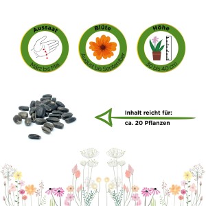Zwergsonnenblume Teddybär Samen: Aussaat, Blüte, Höhe und Saatgut für ca. 20 Pflanzen.