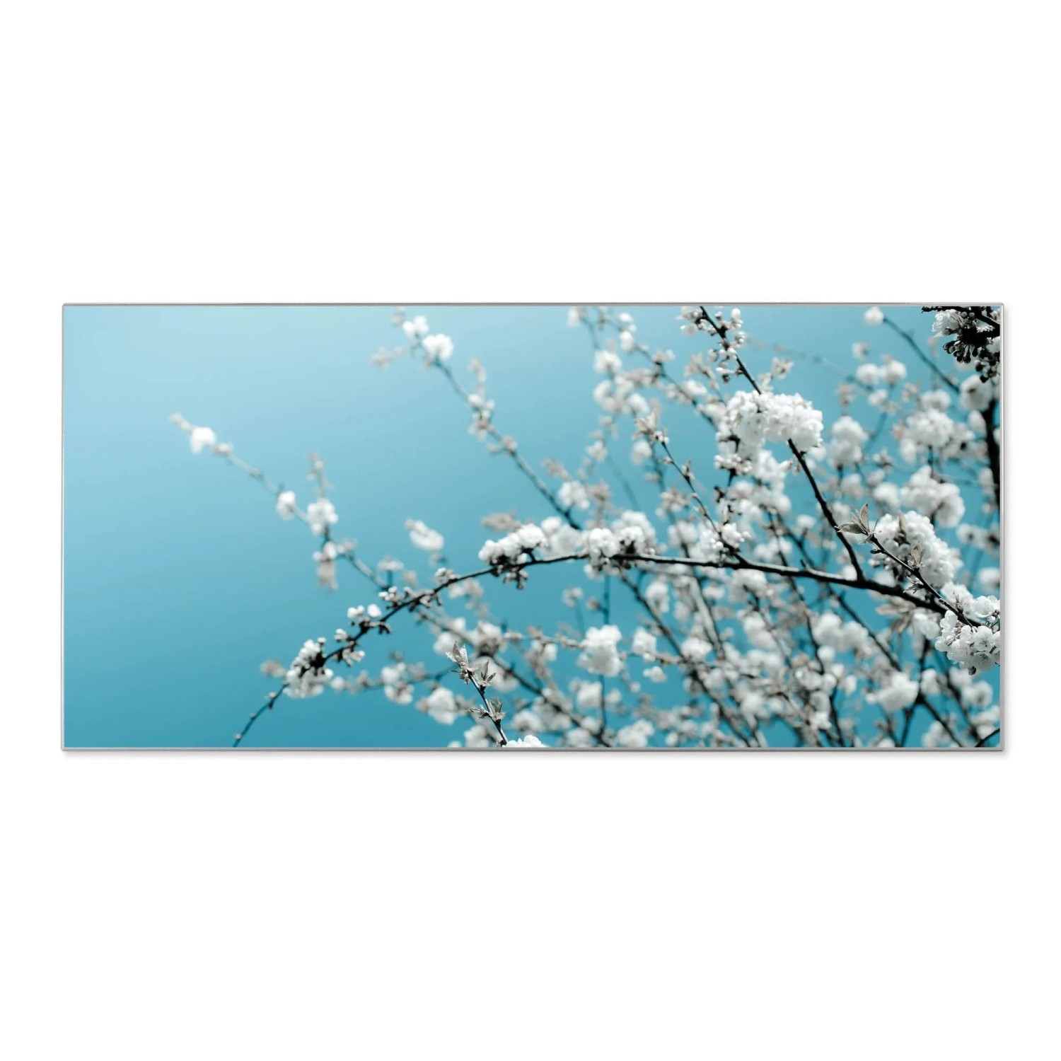 Banjado Magnettafel 78x37cm Magnetwand  Silber Aus Metall Magnetpinnwand Pi günstig online kaufen