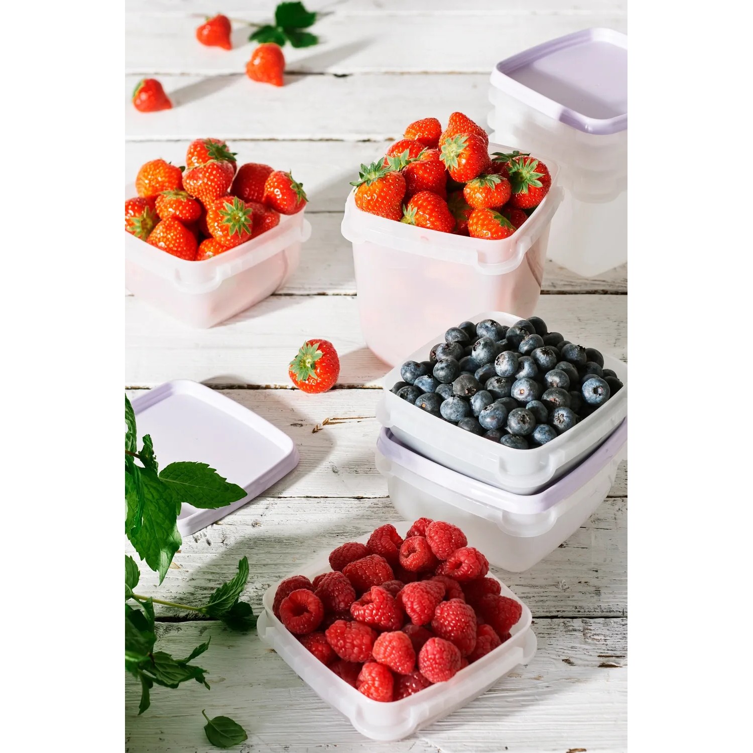 SmartStore Gefrierbox Frost 1 l 3 Stück kaufen bei OBI
