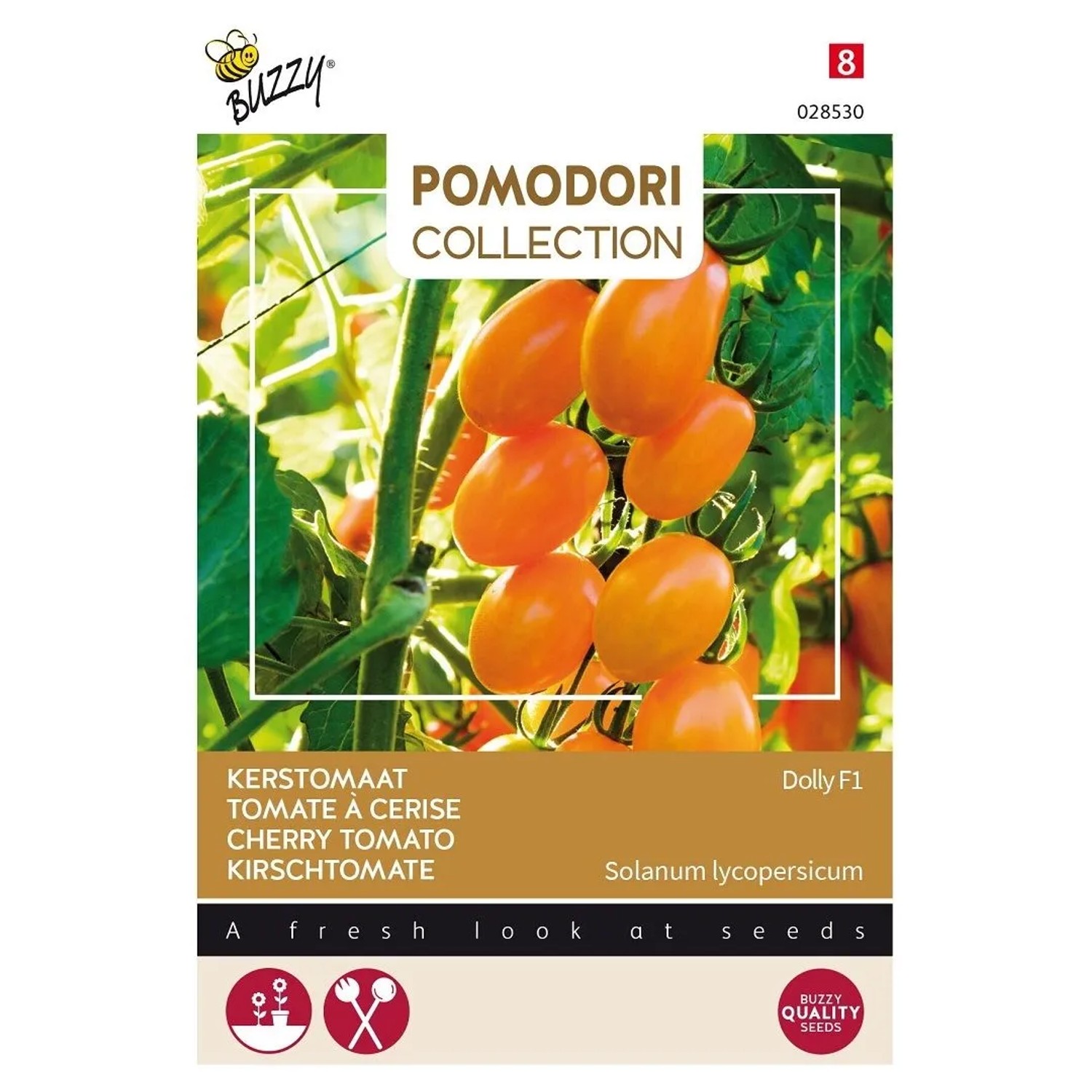 Kirschtomate 'Dolly F1' Buzzy Pomodori Samen Ca. 7 Samen Mini-Pflaumentomaten