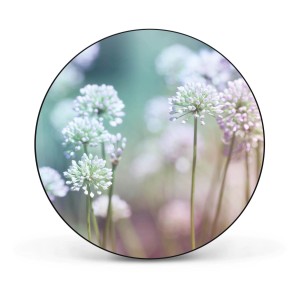 Runde, schwarze Magnettafel mit Lauchblüten-Motiv. Dekorative Wanddekoration für Notizen und Fotos.