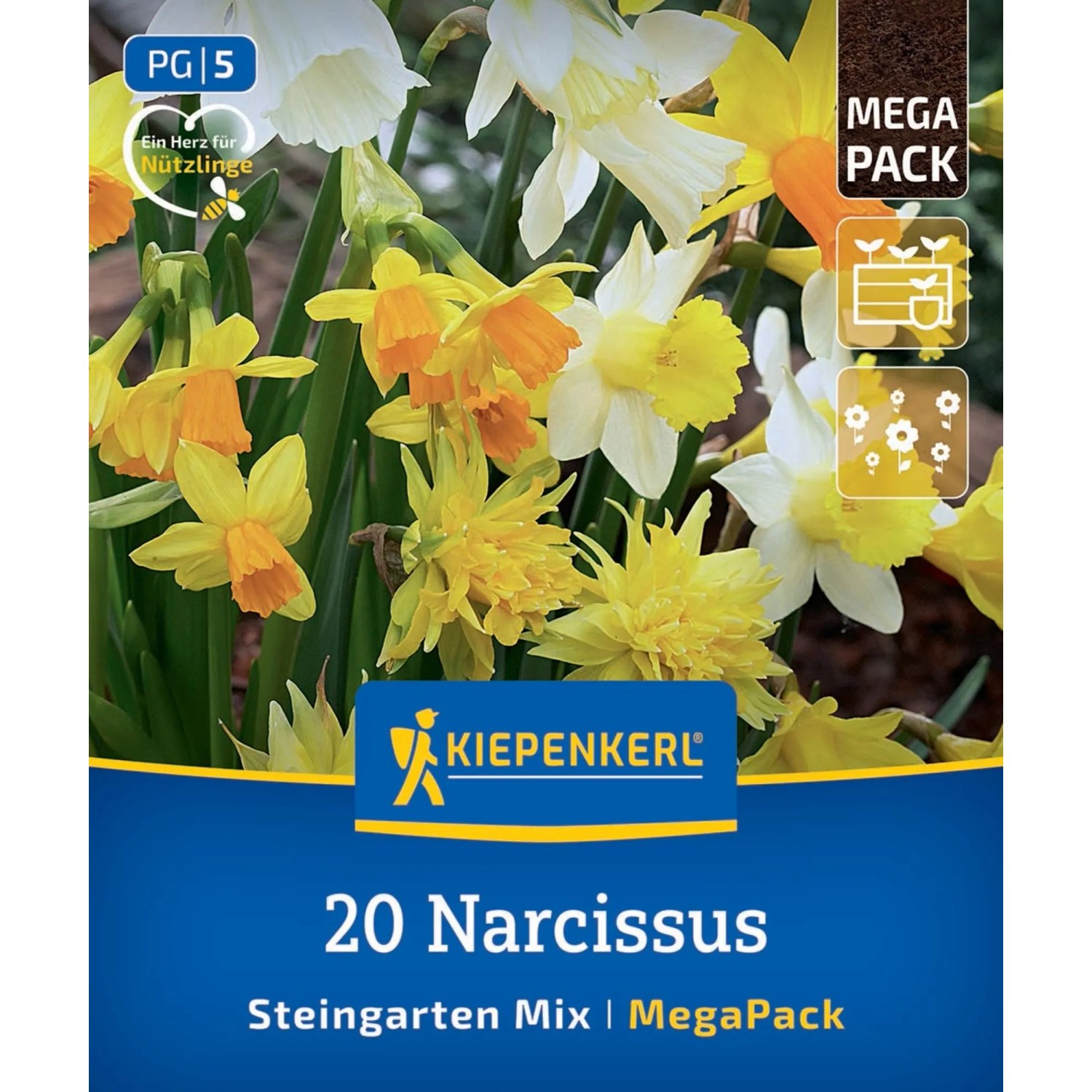 Kiepenkerl Blumenzwiebel Mega-Pack Steingartennarzissen Mischung 20 Stück