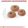 Royal Canin Fit Katzen-Trockenfutter, drei Kroketten in Donut-Form.