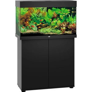Schwarzes Juwel Aquarium Rio LED 125 l Komplettset mit Fischen und Pflanzen.