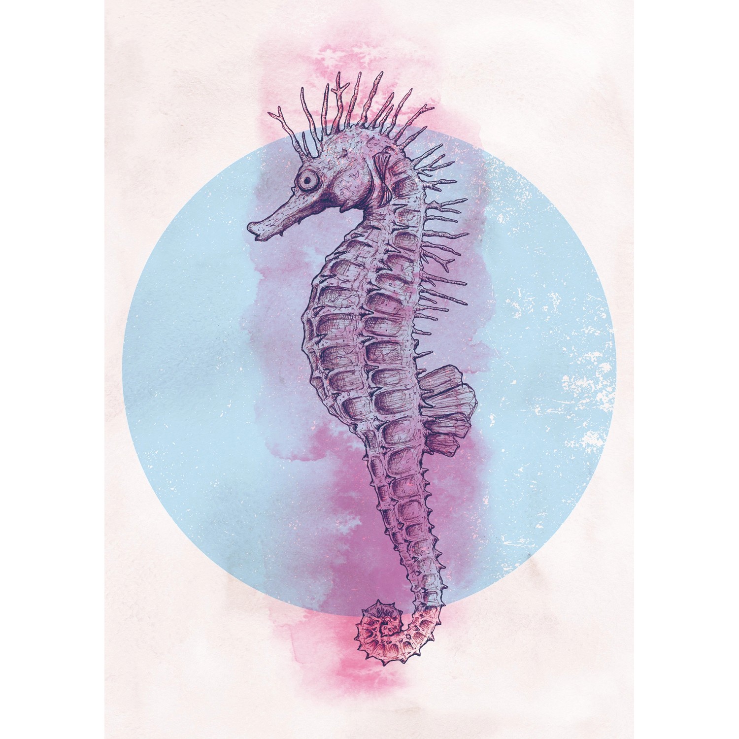 Komar Wandbild Sea Horse Circle 50 x 70 cm