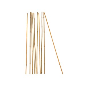 Natürliche Bambus Pflanzstäbe, 10 Stück, als Rankhilfe für Kletterpflanzen im Garten und Haus.