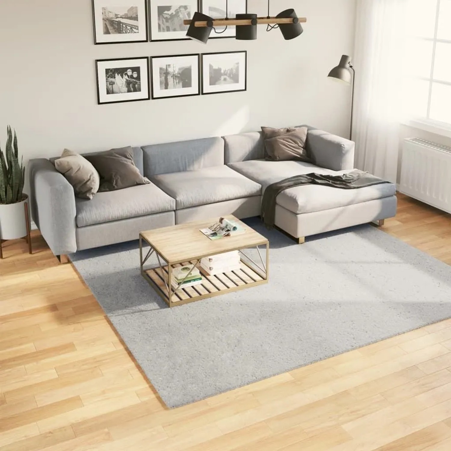 Grauer, weicher Kurzflor-Teppich (240x240 cm) im Wohnzimmer. Waschbarer, quadratischer Teppich für gemütliche Atmosphäre.